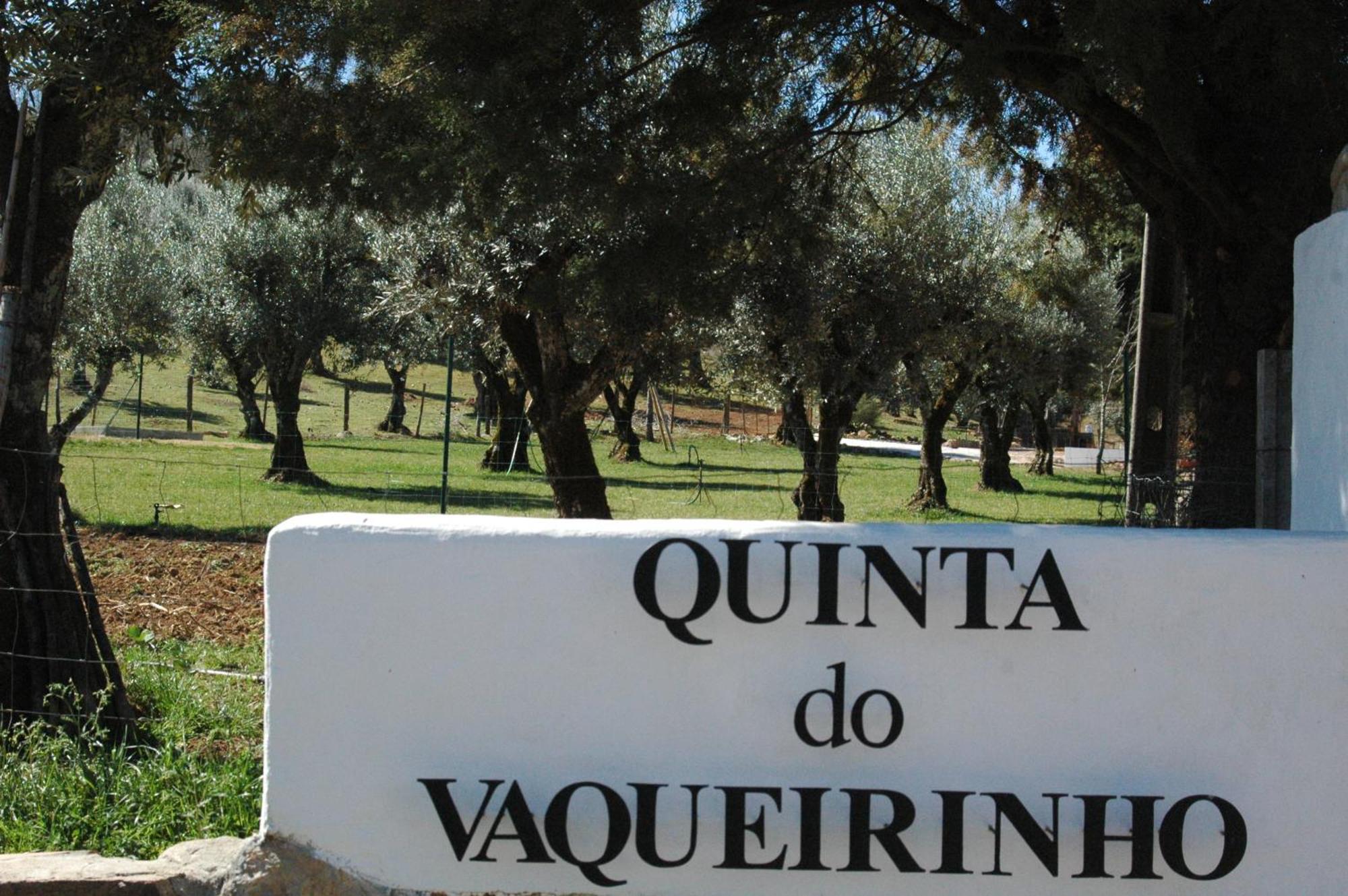 Quinta Do Vaqueirinho - Agro-Turismo Villa Marvão Exterior foto